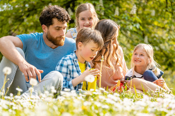 Familie mit drei Kindern sitzt in einer Wiese mit Löwenzahn und Pusteblumen