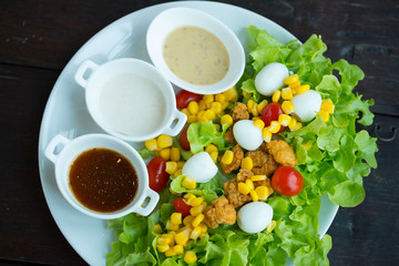 Salad hydroponics vegetable with various salad dressing