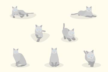Fototapeta na wymiar set of soft pastel cute cat element modern geometric flat style. vector illustration eps10