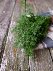 bundle of dill on a wooden background and linen napking