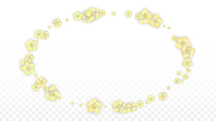 Vector Realistic Yellow Flowers Falling on Transparent Background.  Spring Romantic Flowers Illustration. Flying Petals. Sakura Spa Design. Blossom Confetti. Design Elements for Wedding Decoration.