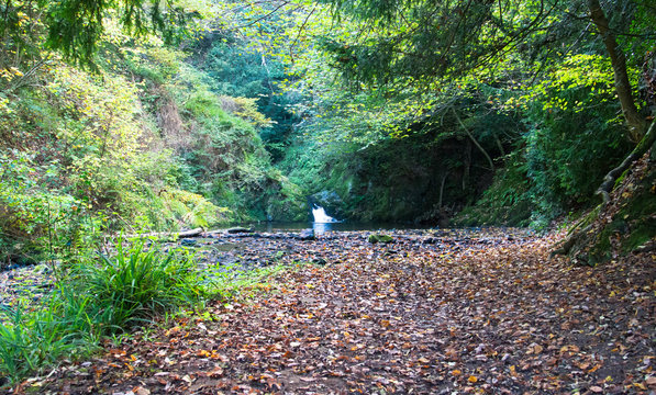 Lyd Hole Waterfall on the Habberley Brook near Earl's Hill, Shropshire, England.