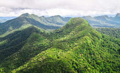 Mountains covered with pristine primary forest dominate the landscape in this aerial shot of the...