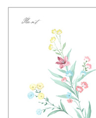 Colorful flower on white background,It's perfect for greeting cards,wedding invitation