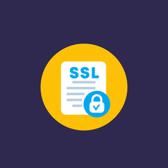 SSL vector icon, flat