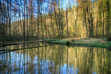 Robecsky potok river in Peklo valley