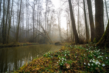 Robecsky potok river in Peklo valley