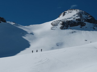 Fototapeta na wymiar groupe de randonnée en ski de montagne 
