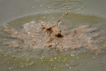 Dirty water splash in a muddy pool of water on the street. Design, concept, background.
