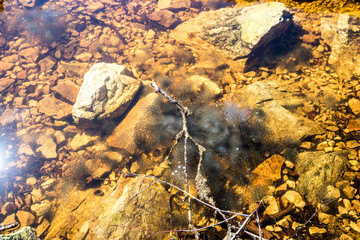 Asturias, Spain. The Laguna Fonda or Honda (Deep Lake) in the Muniellos Nature Reserve (Reserva natural integral)