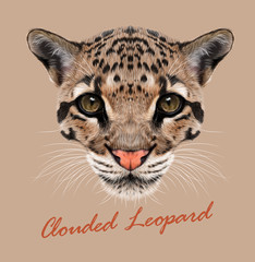 Plakat Clouded Leopard animal face. Vector Asian, Indochina, Malaysian big cat head portrait. Realistic fur beast of Clouded leopard. Predator eyes of wildcat. Big cat head isolated on beige background.