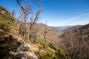Asturias, Spain. The Muniellos Nature Reserve (Reserva natural integral), protected area of woodland along the valley of the river Muniellos-Tablizas