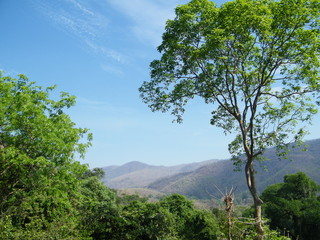 Fototapeta premium Amazing Landscapes of India, Views of India