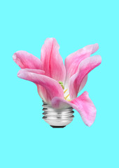 An alternative source of energy. Delicacy in natural resources. Light bulb formed pink orchid or flower against blue sky-colored background. Negative space. Modern design. Contemporary art collage.