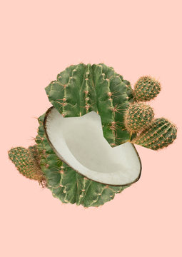 A paradox. Uncombinable things, sweet and juicy. A fruit or a nut as a coconut inside and green cactus outside against light pink background. Modern design. Contemporary art collage.