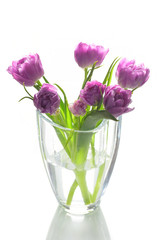 Bouquet of lovely pink tulips