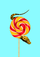 Contemporary art collage. Snake and candy or colorful lollipop against light blue background....