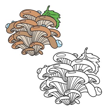recommend clip art: Oyster mushrooms with a green leaf color and outlined for coloring page