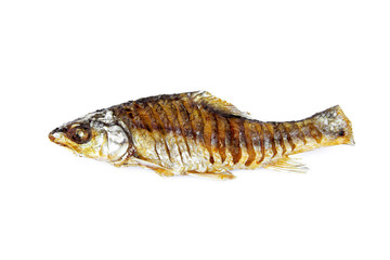 Fish Soldier river barb cut in stripes and fried. isolated on white background.