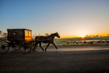 Fototapeta na wymiar Amish Horse and Buggy at Dawn
