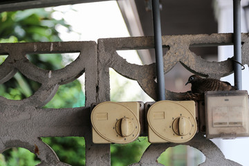 Life will find a way