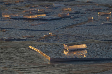 Złota kra © Tomek Kiecana