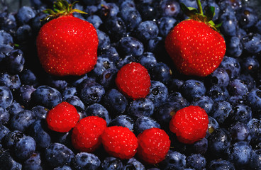 Human mimic shape made by red strawberries and blue blueberries. Healthy and fresh breakfast with berries assortment. Colorful fruit background with ripe and juicy strawberry and blueberry.