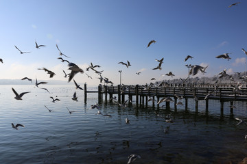 Starnberger See im Winter