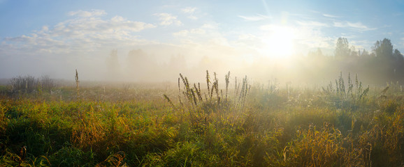 Panorama of foggy meadow