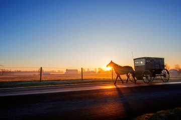 Amish Buggy at Dawn on Rural Road