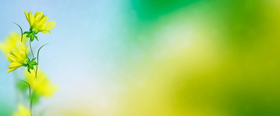 Obraz premium Colorful dahlia flowers on a background of the autumn landscape