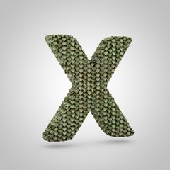 Volumetric dragon skin uppercase letter X isolated on white background.