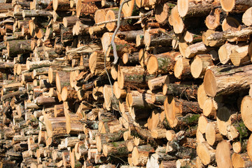 Log pile