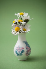 closeup of white daisies in little pot on green background