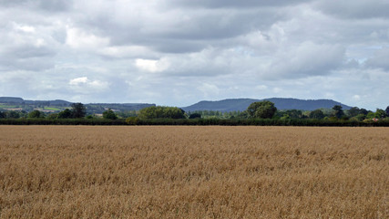 Fototapeta na wymiar Springtime landscape in the British countryside.