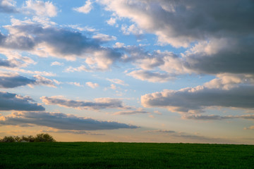 Green grass and sunset sky with clouds