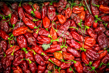 Fresh local fruits and vegetables at a Mercato Centrale market in Florence, Italy. It was opened in 1874.	