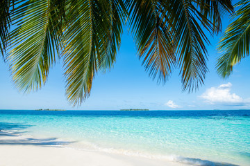 Fototapeta na wymiar Wave of tropical sea beach on white sand with coconut leaf edge frame.
