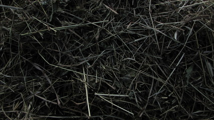 abstract hay background