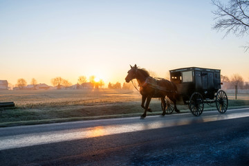 Amish Buggy at Dawn on Rural Road
