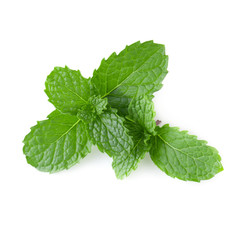 Mint leaves isolated over a white background.