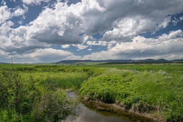 Fototapeta na wymiar Creek and prairie grass with mountains in the distance near Lewistown, Montana