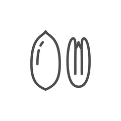 Pecan nuts line icon
