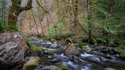 Rocky Brook Washington State