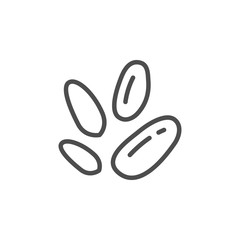 Pine nuts line icon