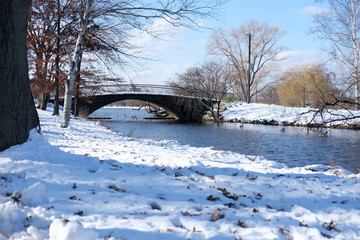 winter landscape with river