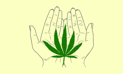Vector sketch illustration - female hands holding a cannabis leaf