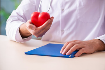 Male doctor cardiologist holding heart model