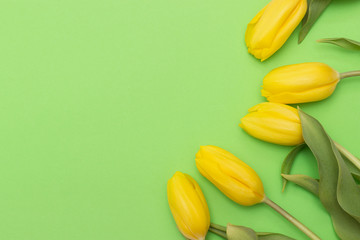 Yellow tulips on a green background. 