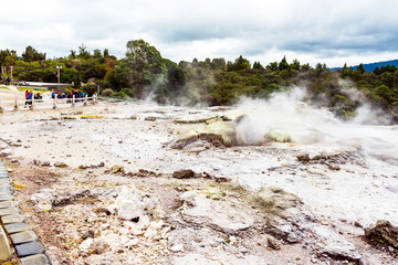 Hot Springs in Te Puia, Rotorua in New Zealand on the North Island.